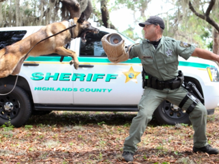 CSI, Drown Show, K-9's and More!