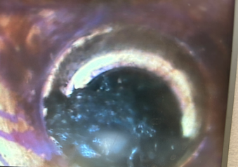 Sewer camera sewer line separation sewer line break under house EZFlow Plumbing Solutions