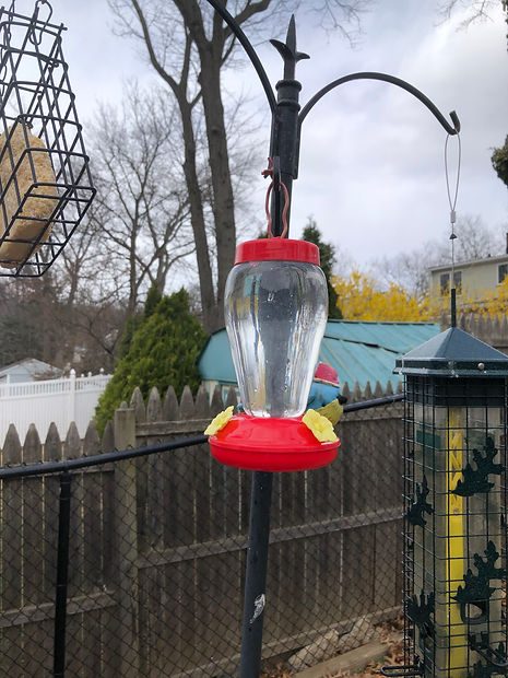 Hummingbird Feeder, Bird Feeder, Bird Ornament, Nature