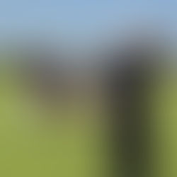 GIVE THEM FOMO: The Importance Of Event Photography