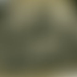 The Armidale Amazons: The First Women's Brigade Established in NSW