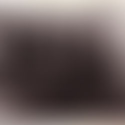 Station Focus: 302 Glen Innes Fire Brigade 1886 - 2016