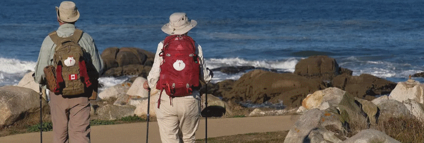 Camino Walking #1