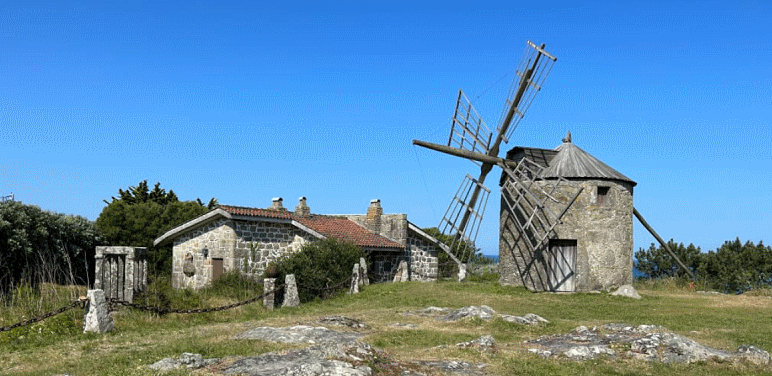 Camino Walking #9