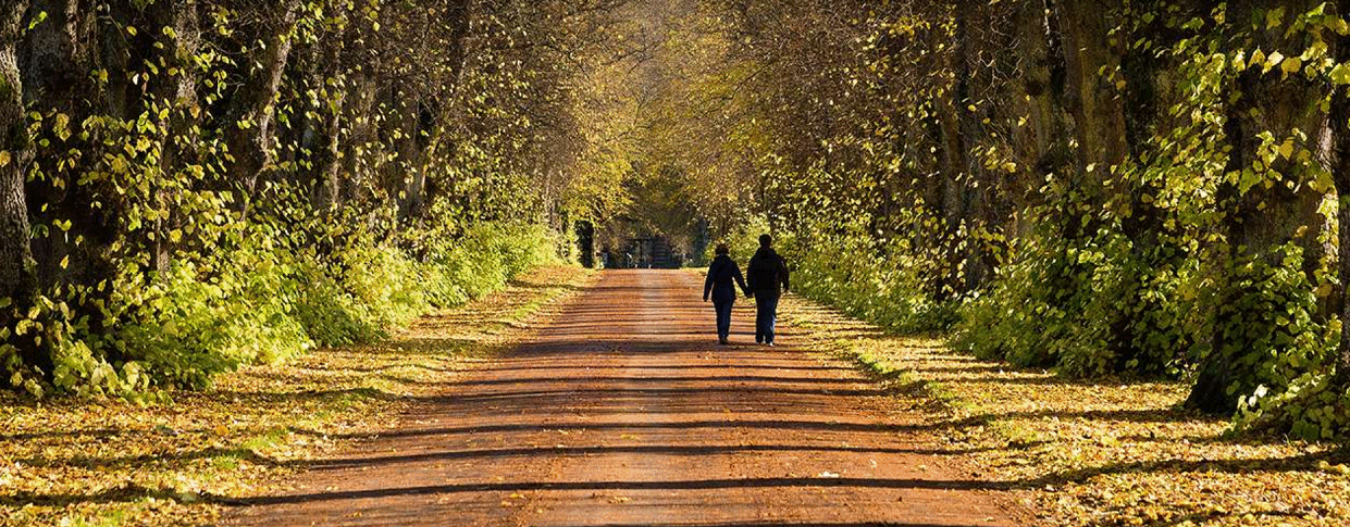 Pitlocney Walk