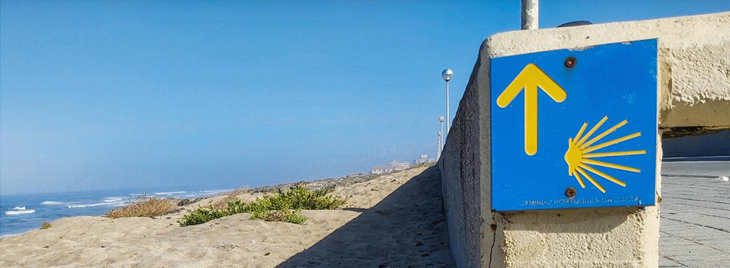 Camino Walking #7