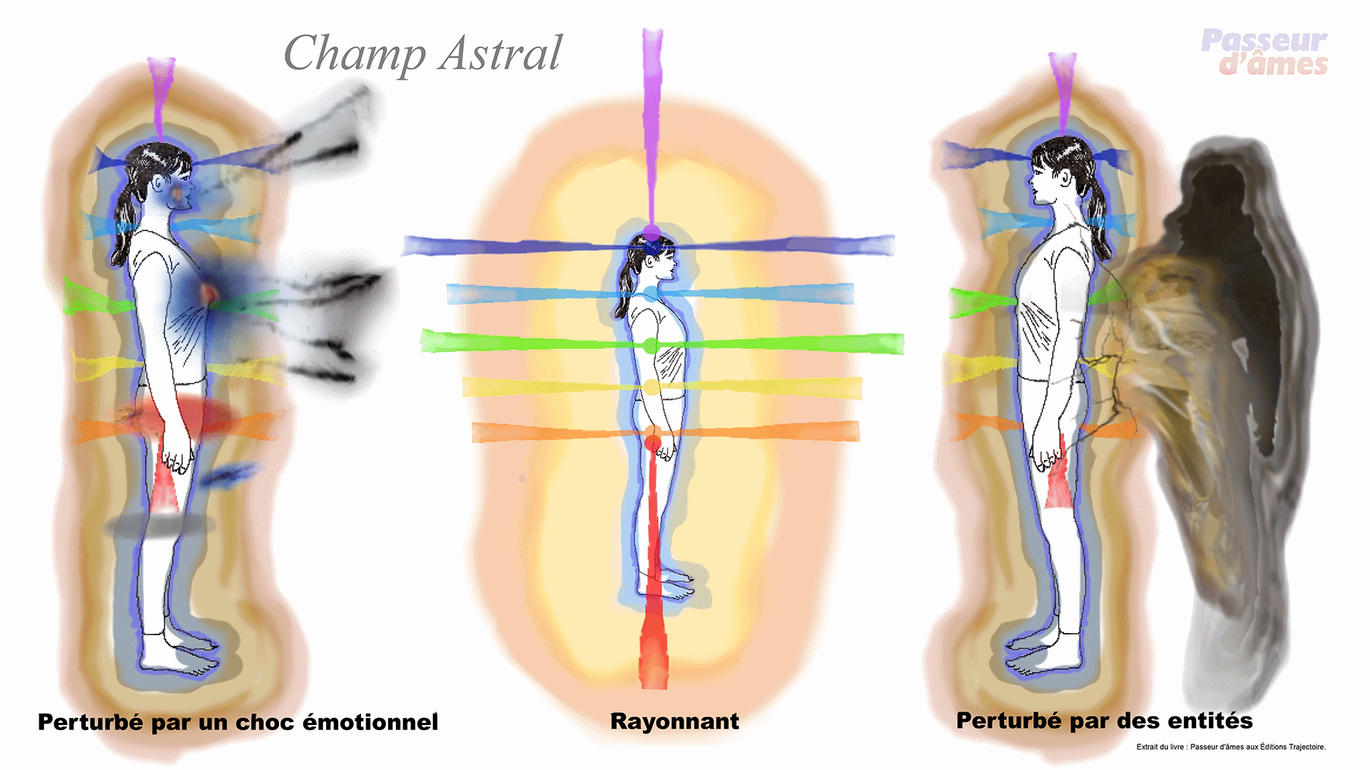 Annimation du champ astral