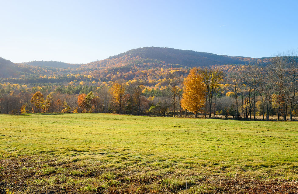 iStock-2225115381.jpg
