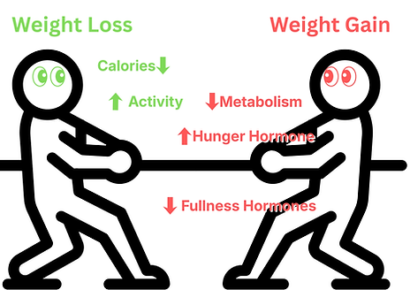 The defence of body weight: a physiological basis for weight regain after weight loss_The Aesthetic Medic