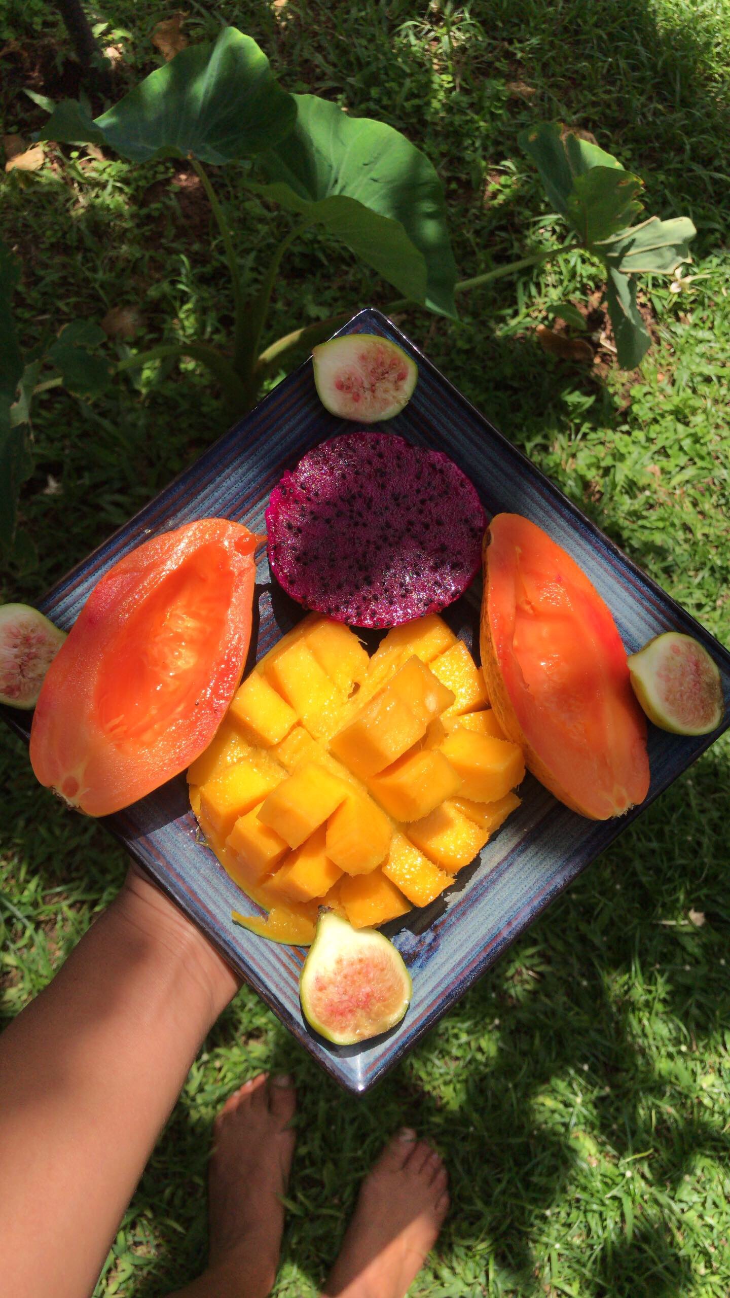 Keeping balanced in the Summer heat