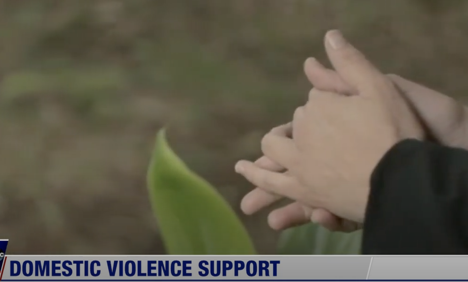 Domestic Violence Action Center offers a new text line