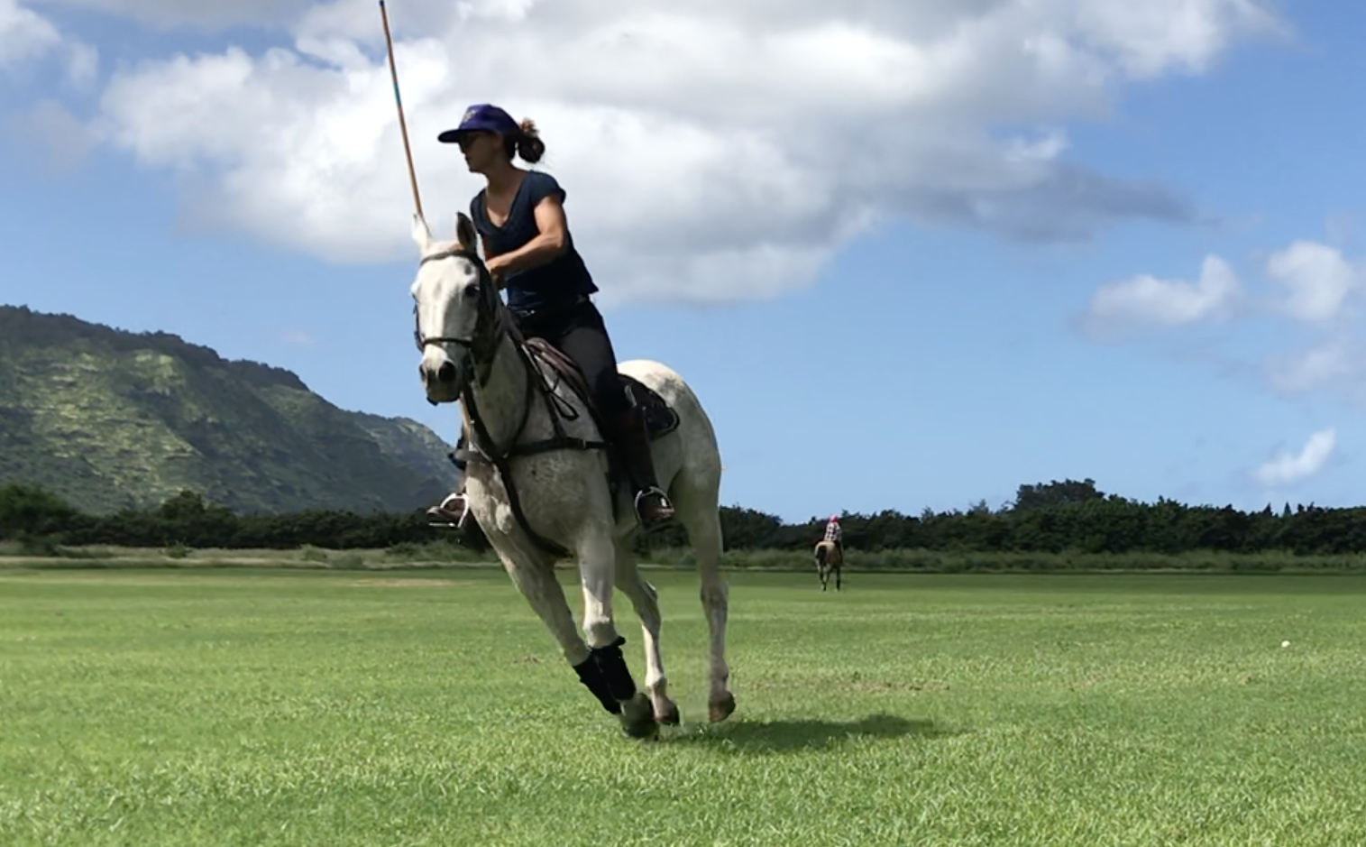 Benefits of polo