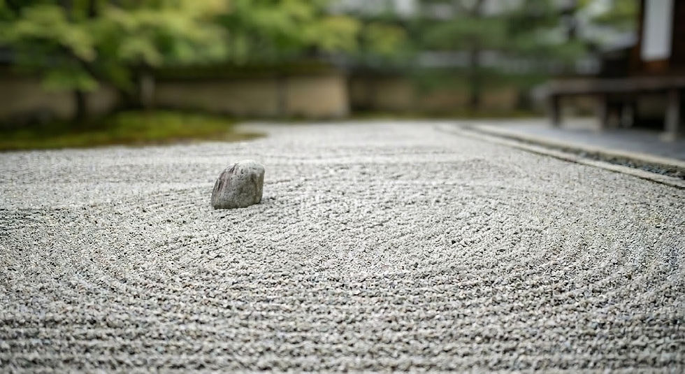 Gros plan sur la première pierre d'équilibre du jardin zen de la page d'accueil, illustrant le parcours et l'expertise de votre praticien autour de Pérols.