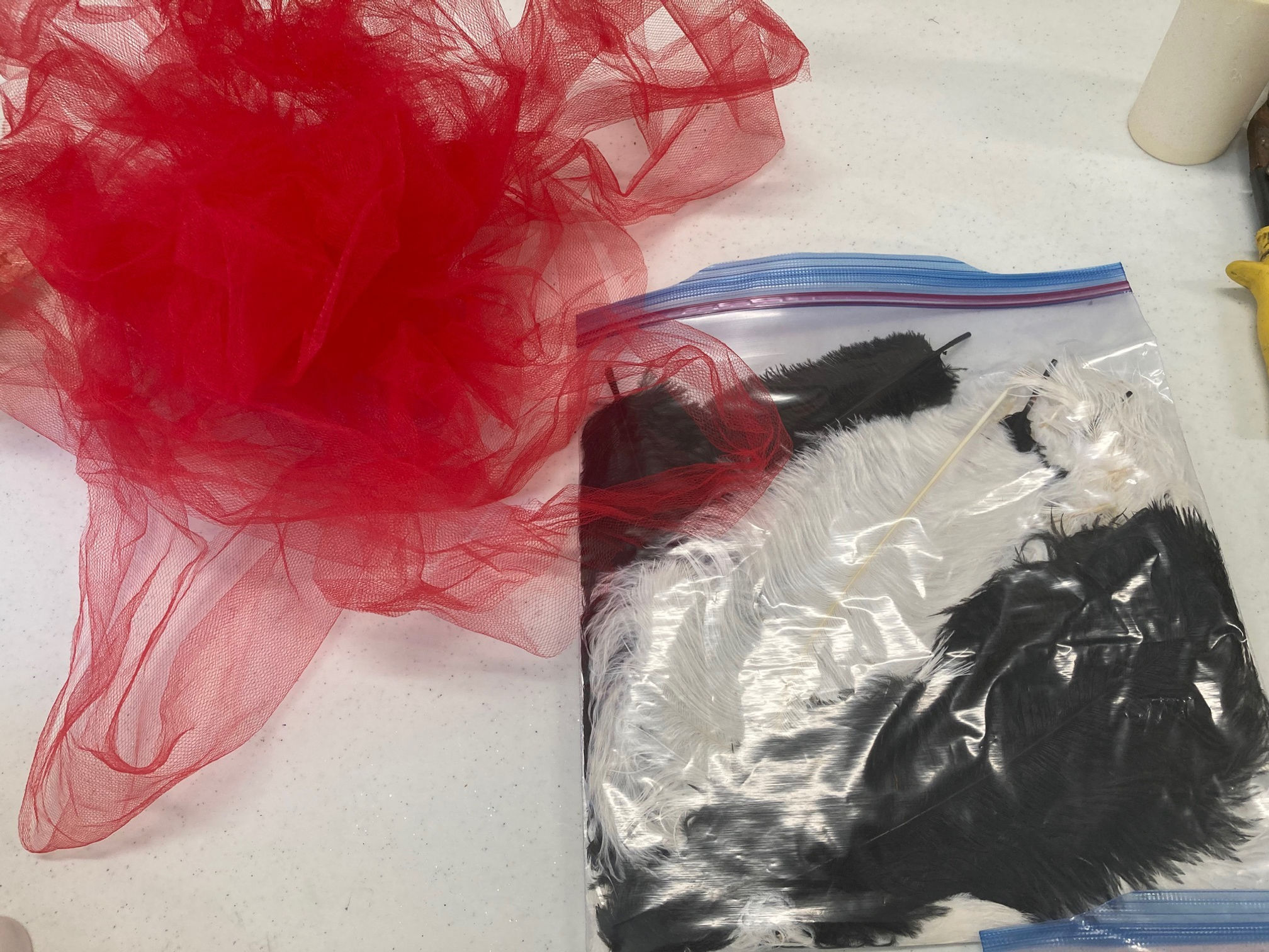 Random red tulle and black & white feathers