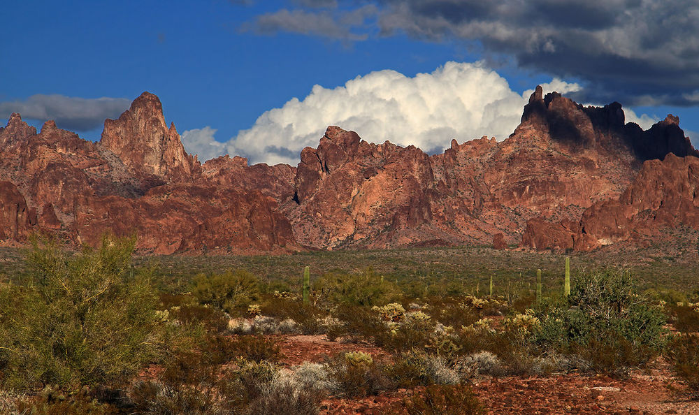 The Best Overland Route for the Sonoran Desert