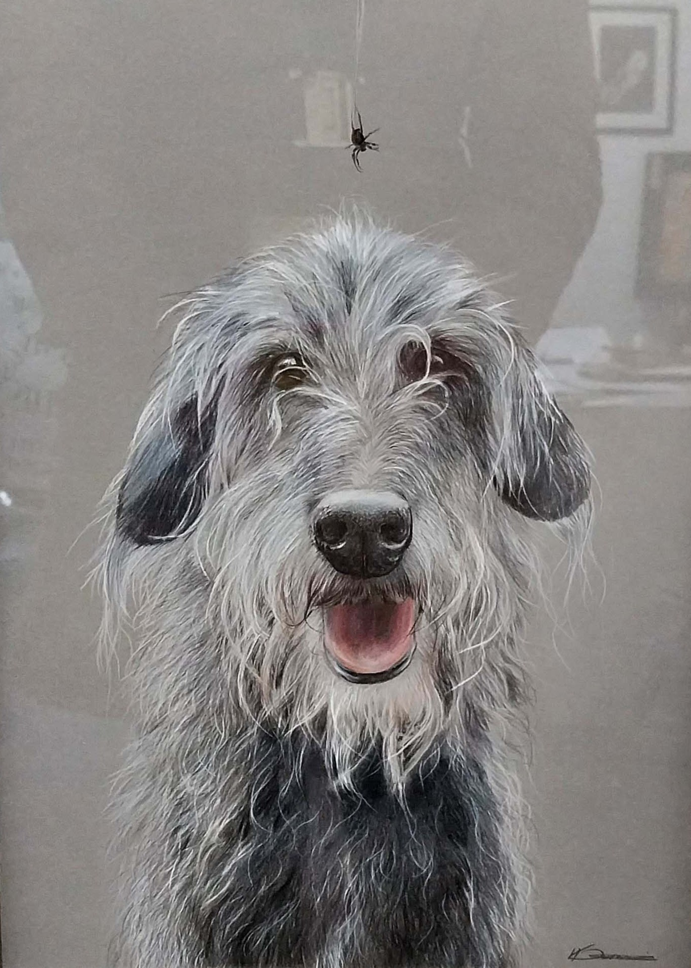 'WHIPPET AND SPIDER' Original pencil drawing in Grey/brown wood handmade frame