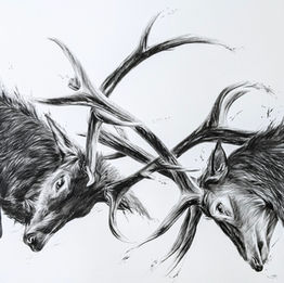 Exmoor wildlife original artwork Porlock Weir, Hannah Norman Artist