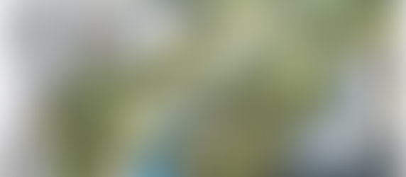 A Importância de um Jardim de Alah Sustentável Para Todos