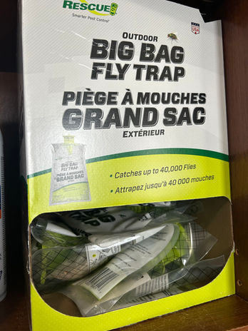 Fly traps