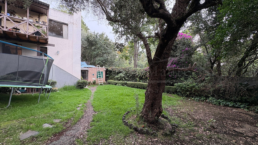 19 Jardin 3 Carr 118 San Mateo Tlatenango.jpg