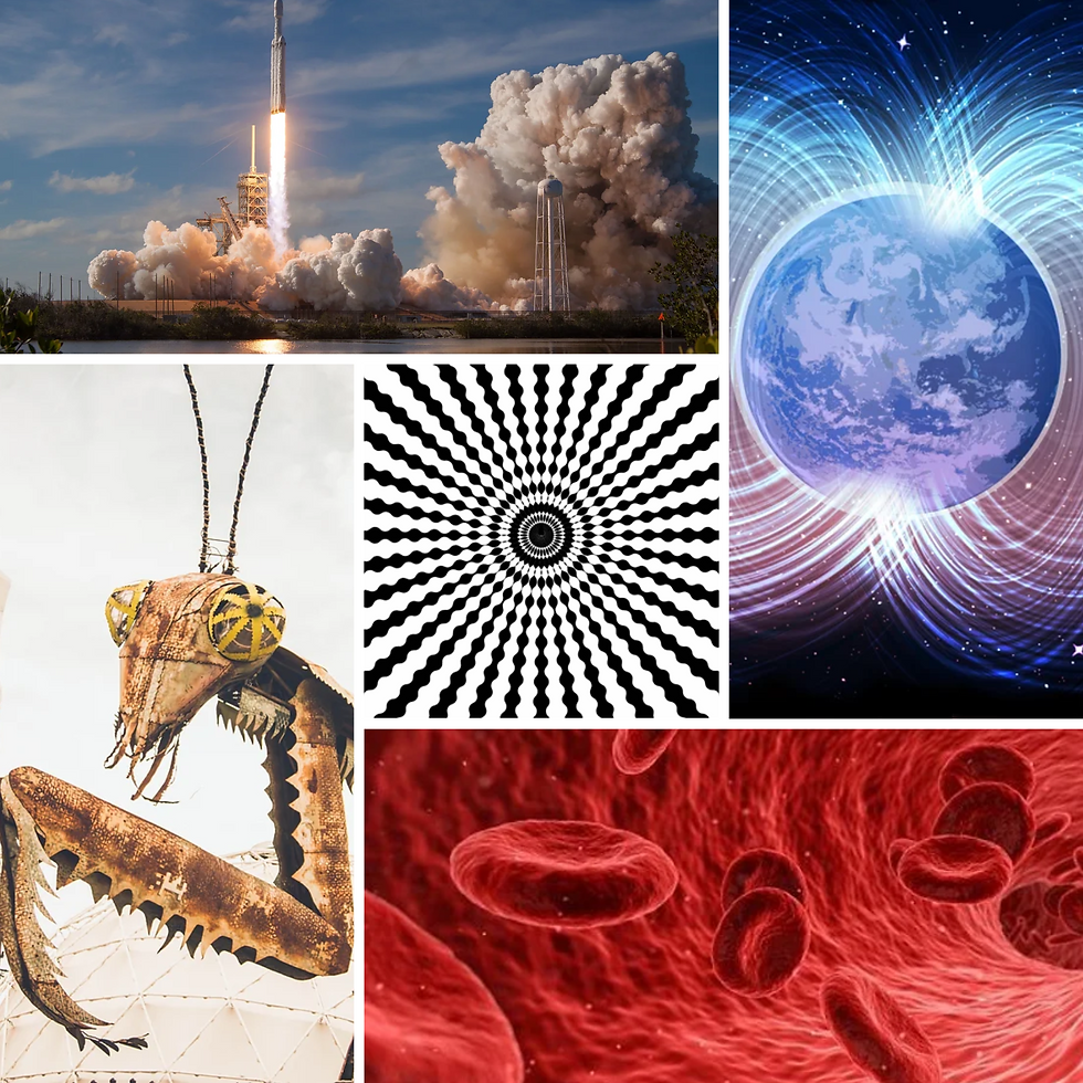 Science Box: Individual Class