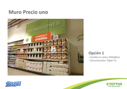 Proyecto-Muros