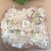 Tzaziki on Wheat Bread
