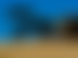 FIDC Agro Paraná: Uma Alternativa ao Plano Safra