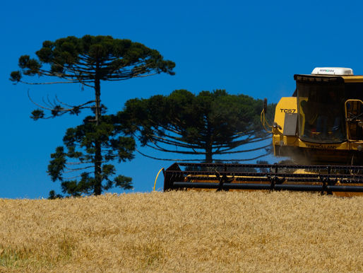 FIDC Agro Paraná: Uma Alternativa ao Plano Safra