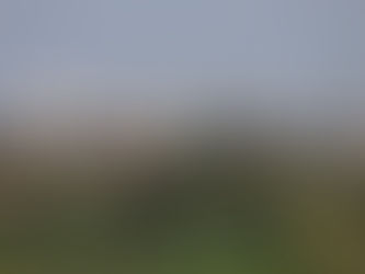 Londrina e Maringá lideram valorização imobiliária e atraem investidores em 2025