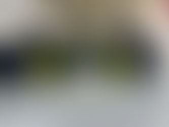 Parque Tecnológico da Indústria: Paraná se consolida como referência em mobilidade sustentável e inovação