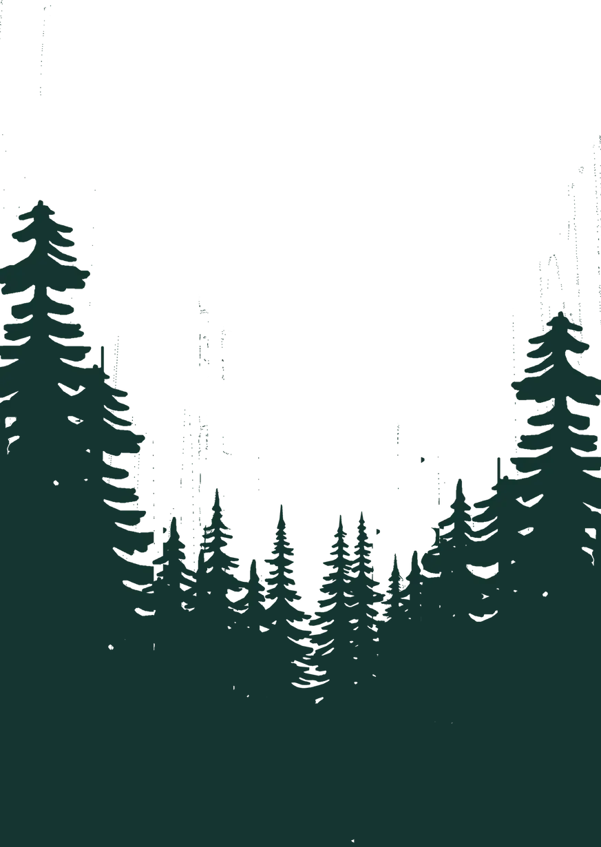 5.webp