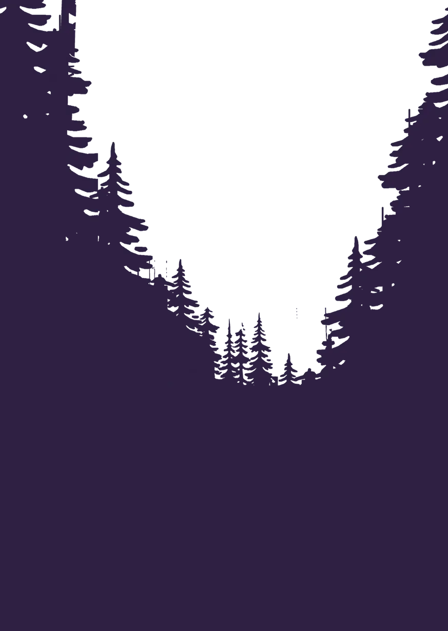 4.webp