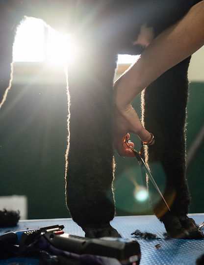 20251223 Bark on the Bench-5_websize.jpg