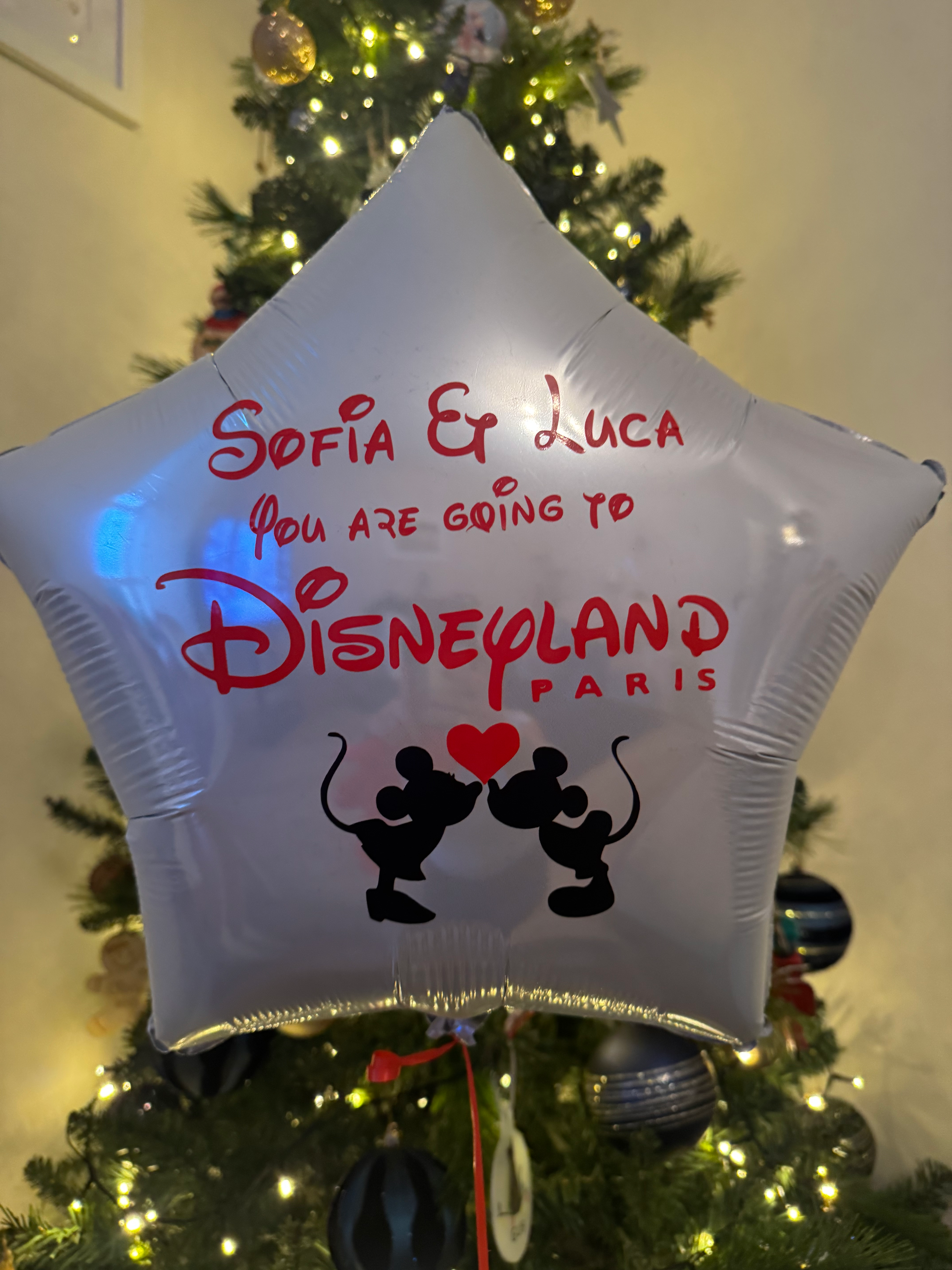 Personalised Disney Reveal – Balloon in a Box & Foiled Ticket