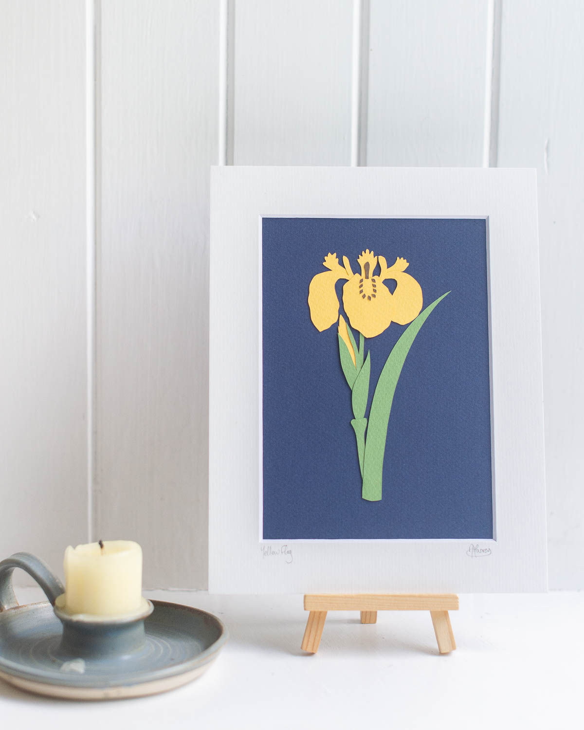 Yellow Flag | Seileistear-buidhe