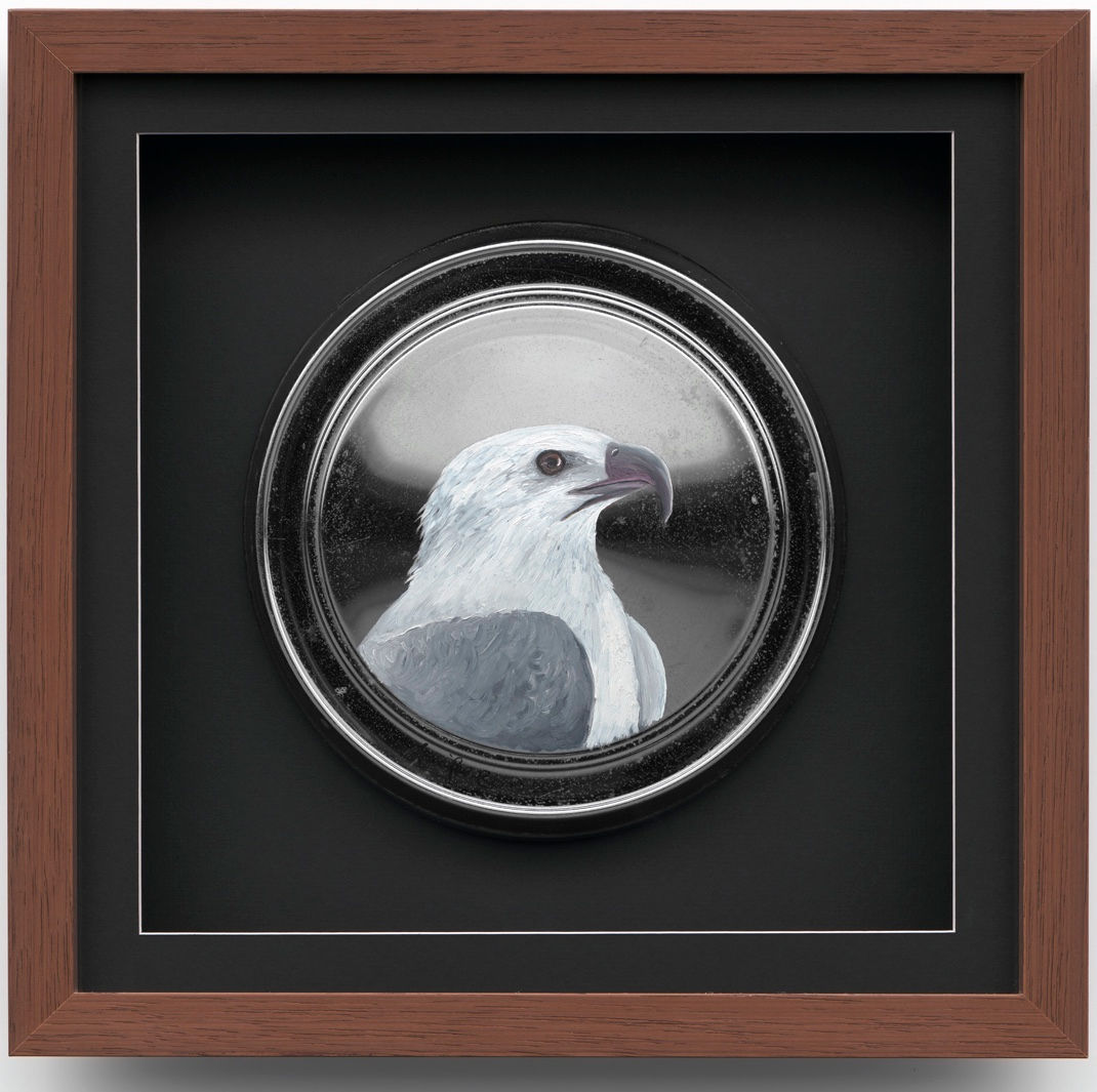 Hubcap – Sea Eagle by Jennifer Burns