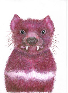 Tasmanian Devil