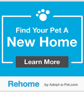 rehome-badge-new (1).png