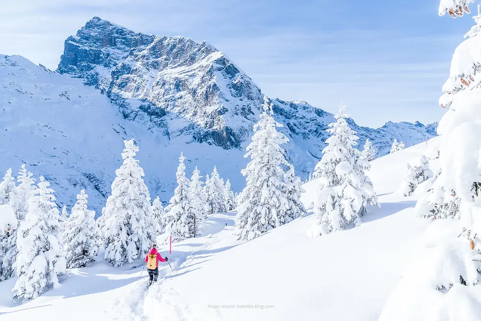 Two people in red jackets follow a narrow track across a wide snowfield, with sunlit Alpine peaks and tall fir trees framing one of the classic snowshoeing trails in Switzerland.