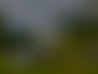  A vibrant camping village in Switzerland, with families enjoying their time outdoors and surrounded by lush greenery and the stunning Swiss lakeside.