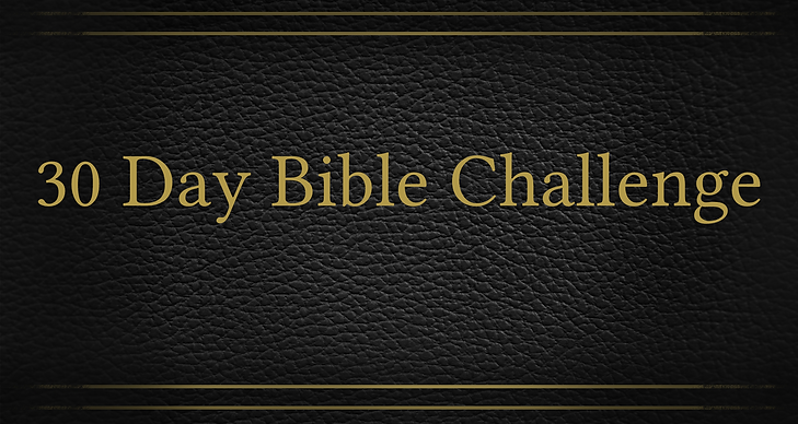 Bible Challenge.png