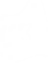 Topographic 1.png