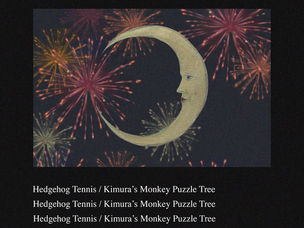 SINGLE REVIEW: Adam Cleall - Hedgehog Tennis / Kimura’s Monkey Puzzle Tree
