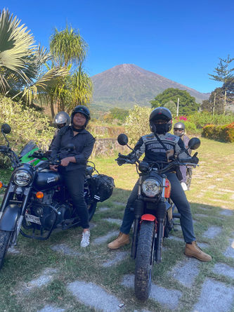 rental moge