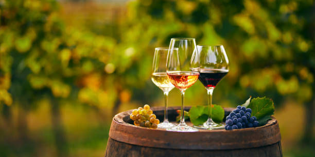 Enólogo e Sommelier