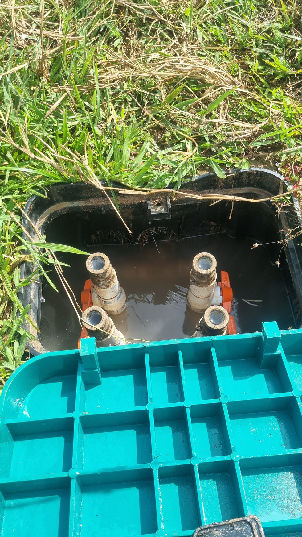 Imagen de WhatsApp 2025-04-15 a las 21.03.59_417ed154