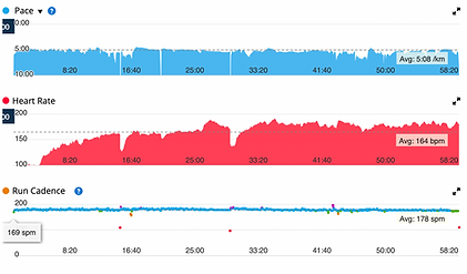 Screen Shot 2025-01-19 at 4.17.23 PM.png