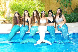 מסיבת רווקות בנות ים