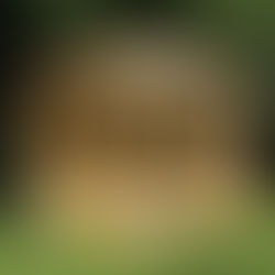 برجولة مثمنة الأضلاع للحدائق المنزلية مستطيلة الشكل